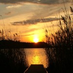 Enjoy the sunset. Enjoy the sunset.
