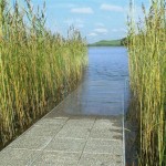Get even with nature. Beat the vegetation growth. Get even with nature. Beat the vegetation growth.